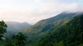 Descubre el Parque Nacional Pico Cristal, un bastión de la biodiversidad cubana