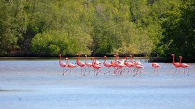 Parque Caguanes: una cita con la naturaleza y la historia de Cuba