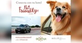 Ecotur lanza oferta para traslados a hoteles Pet Friendly by Meliá Cuba